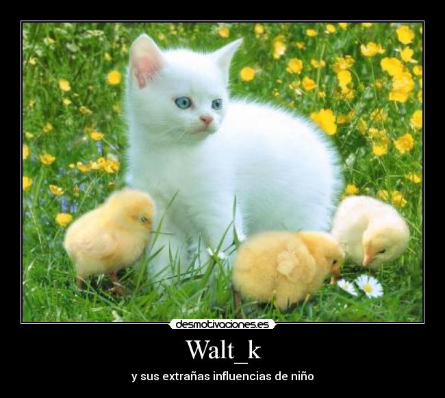 Walt_k - 