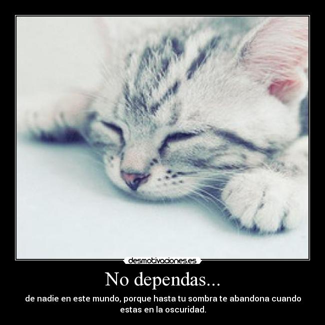 No dependas... - de nadie en este mundo, porque hasta tu sombra te abandona cuando
estas en la oscuridad.