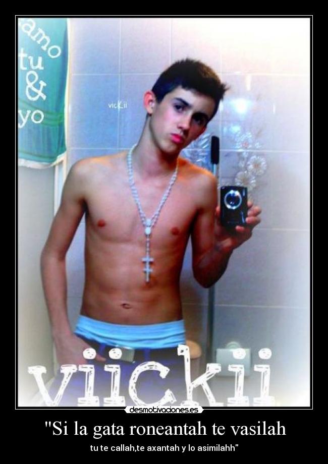 Si la gata roneantah te vasilah - 