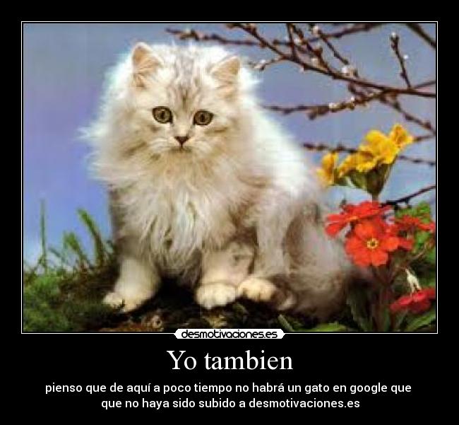 Yo tambien - 