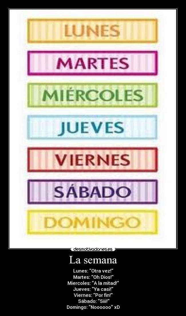 La semana - Lunes: Otra vez!
Martes: Oh Dios!
Miercoles: A la mitad!
Jueves: Ya casi!
Viernes: Por fin!
Sábado: Siii!
Domingo: Noooooo xD