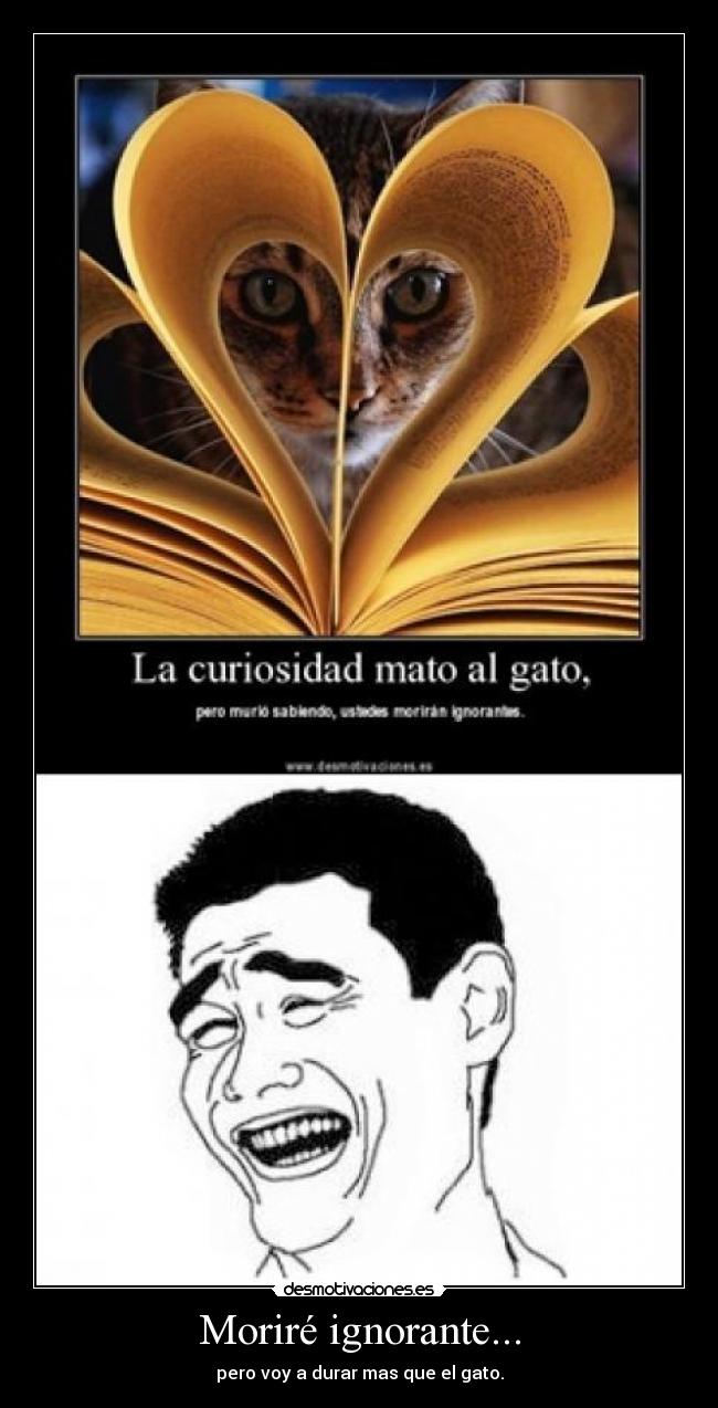 Moriré ignorante... - pero voy a durar mas que el gato.