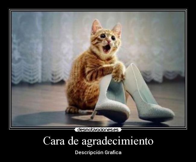 Sex poze u trudnoći sex poze u trudnoći