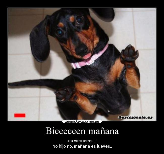 Bieeeeeen mañana - es vierneees!!!
No hijo no, mañana es jueves..