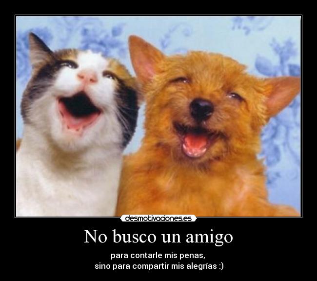 No busco un amigo - 