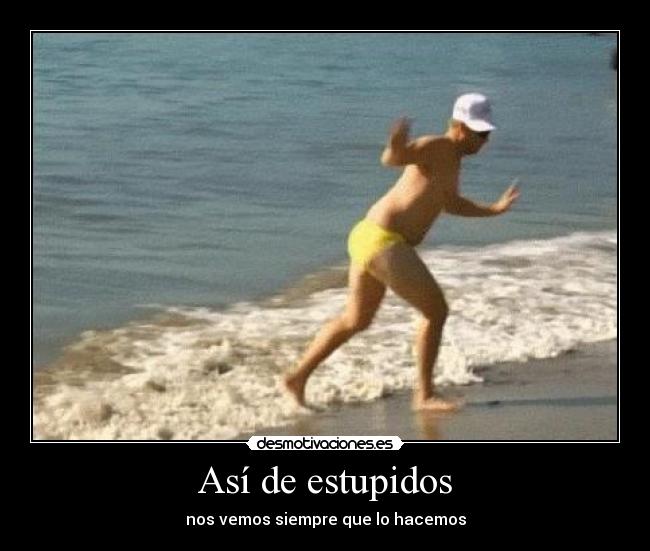 Así de estupidos -