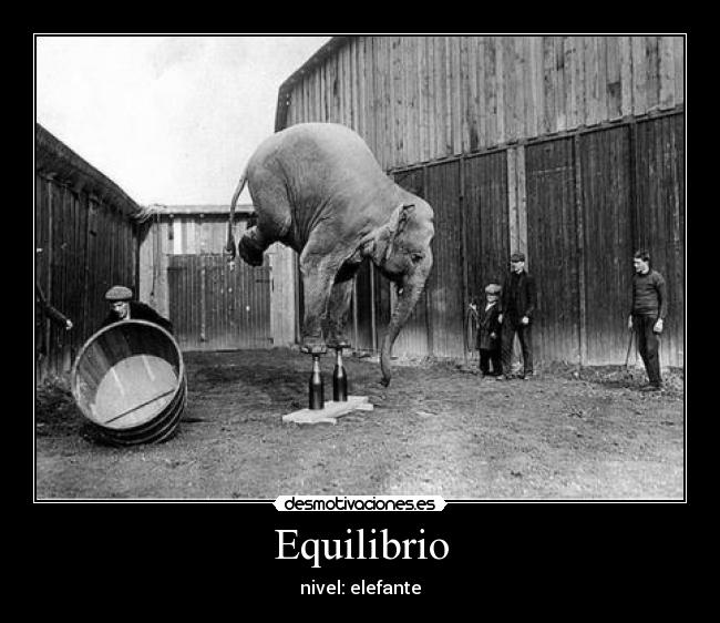 Equilibrio - nivel: elefante