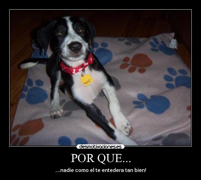 POR QUE... - ....nadie como el te entedera tan bien!