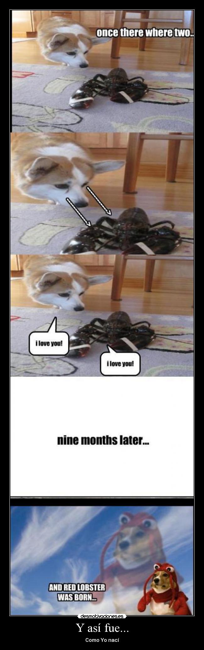 Y así fue... - Como Yo nací