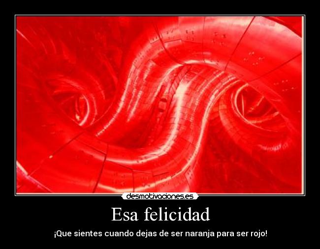 Esa felicidad - 