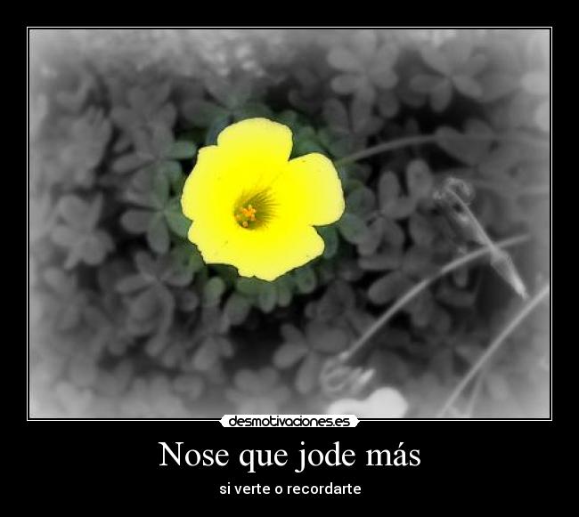 Nose que jode más -