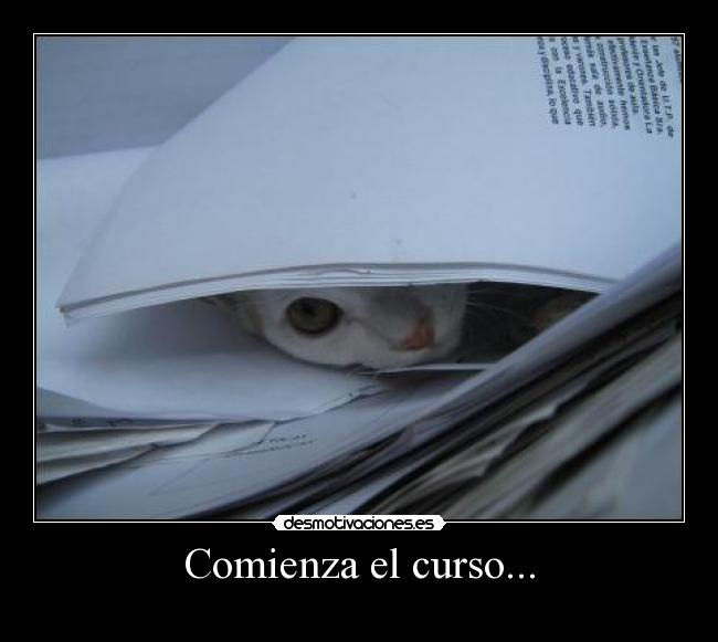 Comienza el curso... -