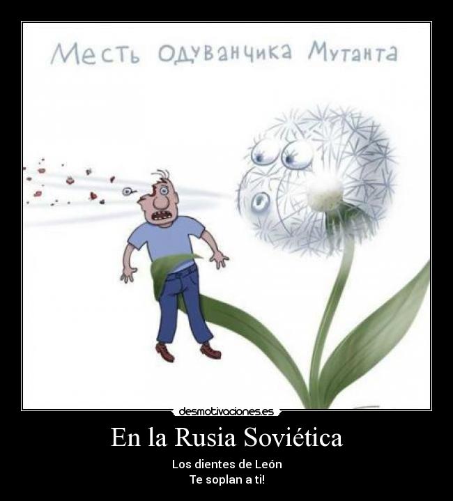 En la Rusia Soviética - Los dientes de León
Te soplan a ti!