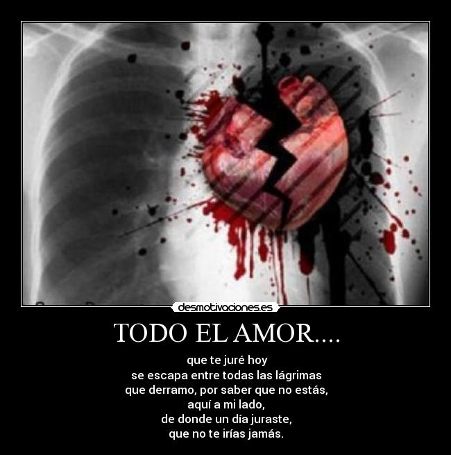 TODO EL AMOR.... - que te juré hoy
se escapa entre todas las lágrimas
que derramo, por saber que no estás,
aquí a mi lado,
de donde un día juraste,
que no te irías jamás.