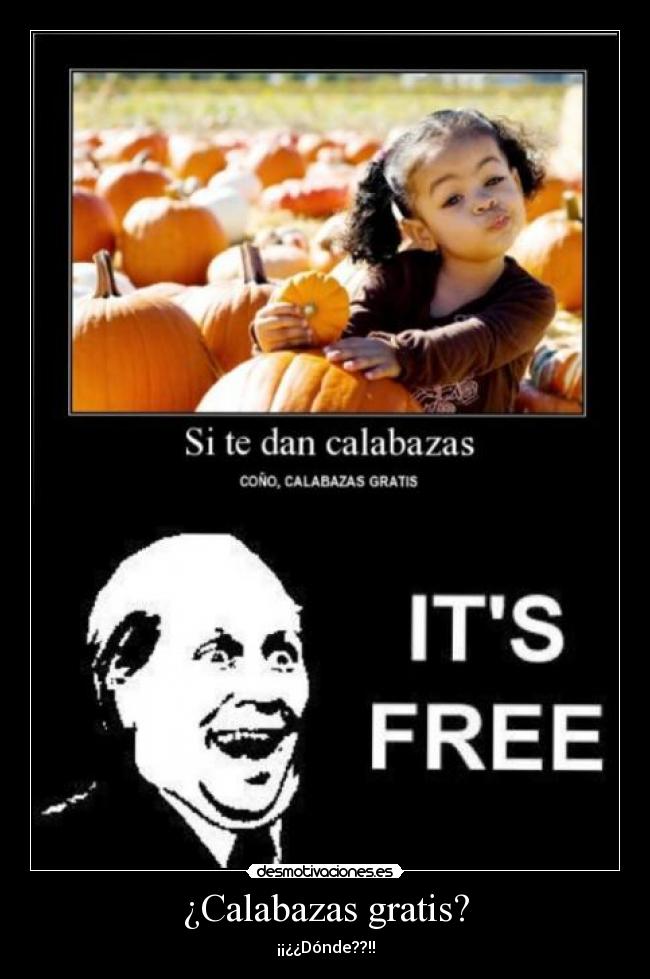 ¿Calabazas gratis? - ¡¡¿¿Dónde??!!