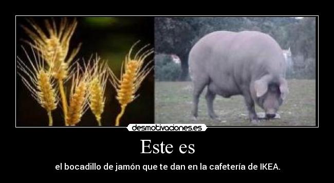 Este es - el bocadillo de jamón que te dan en la cafetería de IKEA.