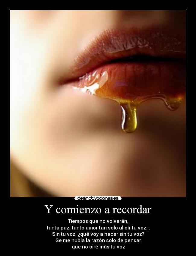 carteles amor labios miel voz dulce desmotivaciones