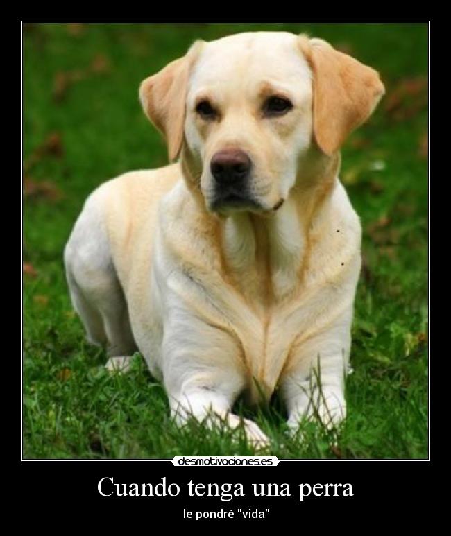 carteles vida desmotivaciones