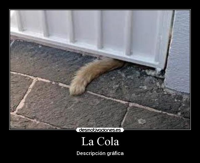 La Cola - Descripción gráfica