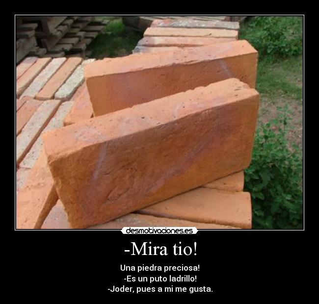 -Mira tio! - Una piedra preciosa!
-Es un puto ladrillo!
-Joder, pues a mi me gusta.