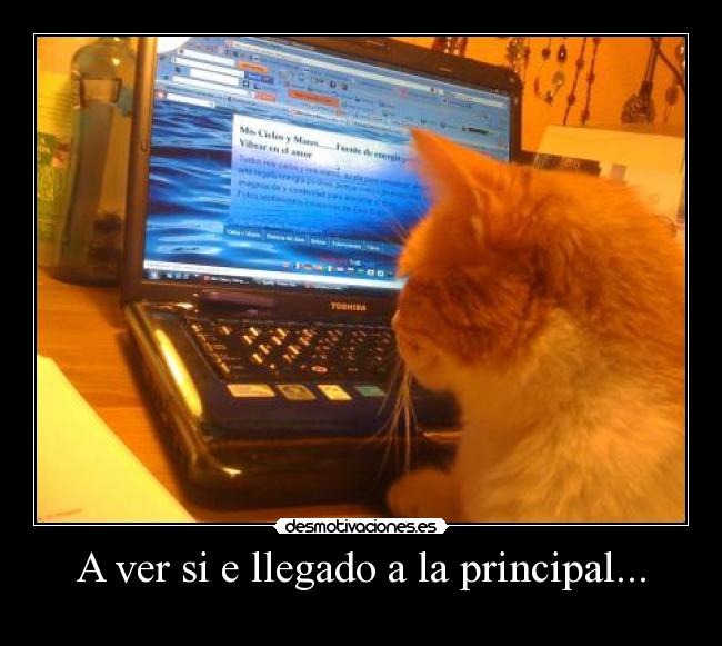 A ver si e llegado a la principal... -