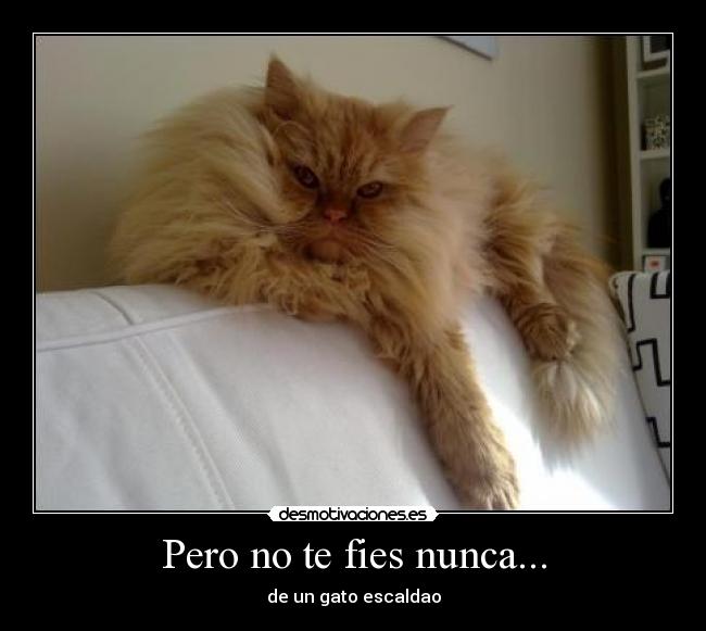Pero no te fies nunca... -