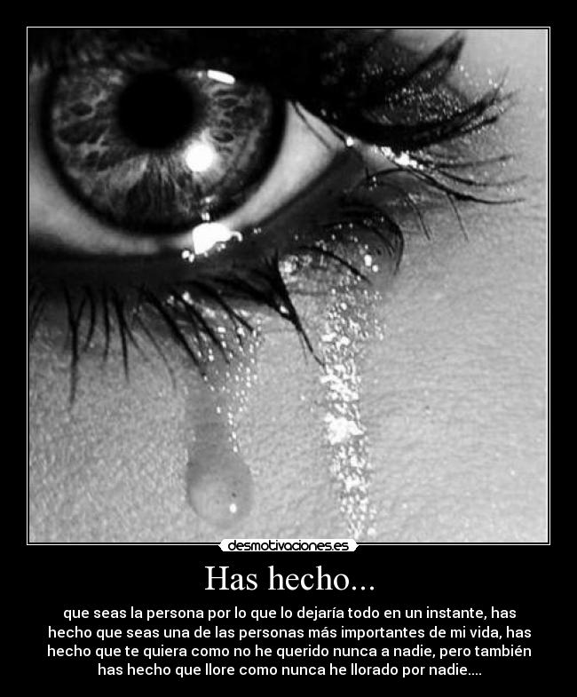 Has hecho... - 