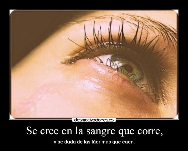 Se cree en la sangre que corre, -