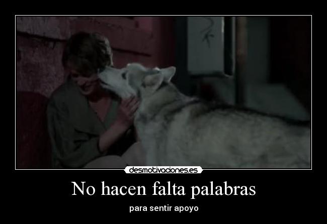 No hacen falta palabras - para sentir apoyo