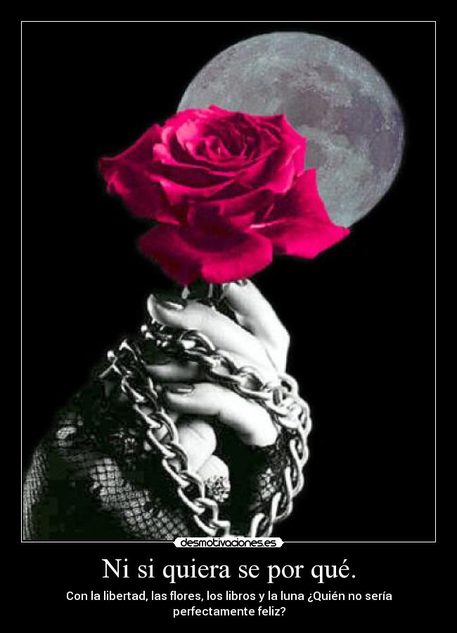 Ni si quiera se por qué. - Con la libertad, las flores, los libros y la luna ¿Quién no sería perfectamente feliz?
