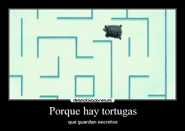 Porque hay tortugas - que guardan secretos