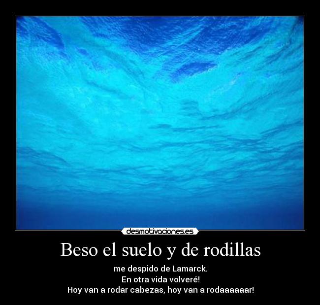 Beso el suelo y de rodillas - me despido de Lamarck.
En otra vida volveré!
Hoy van a rodar cabezas, hoy van a rodaaaaaar!