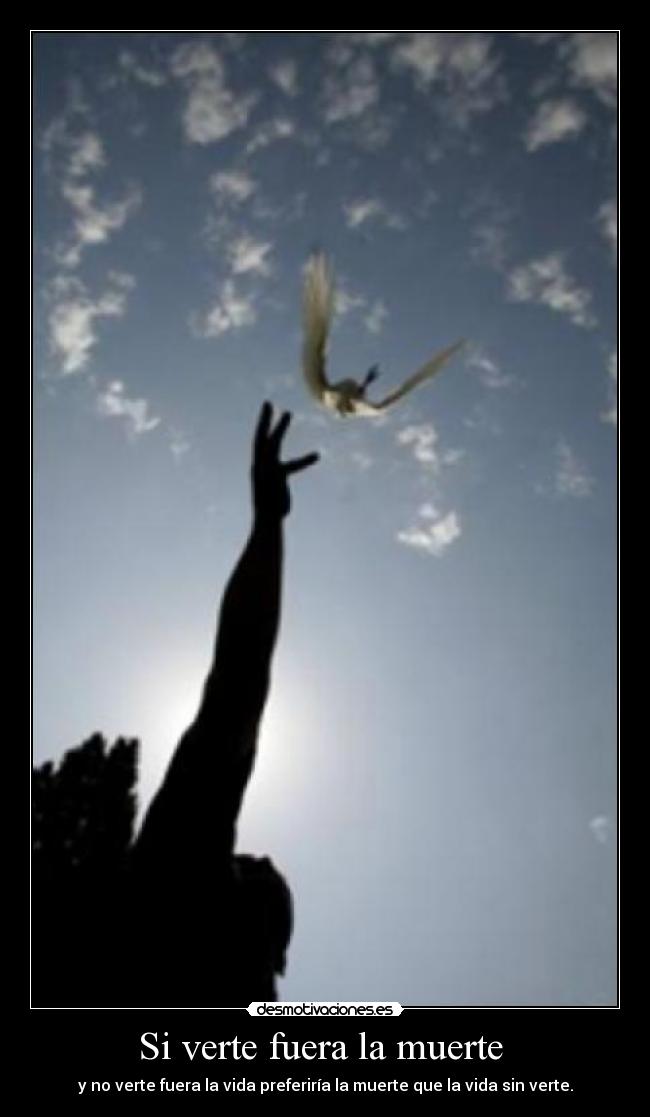 Si verte fuera la muerte  - 