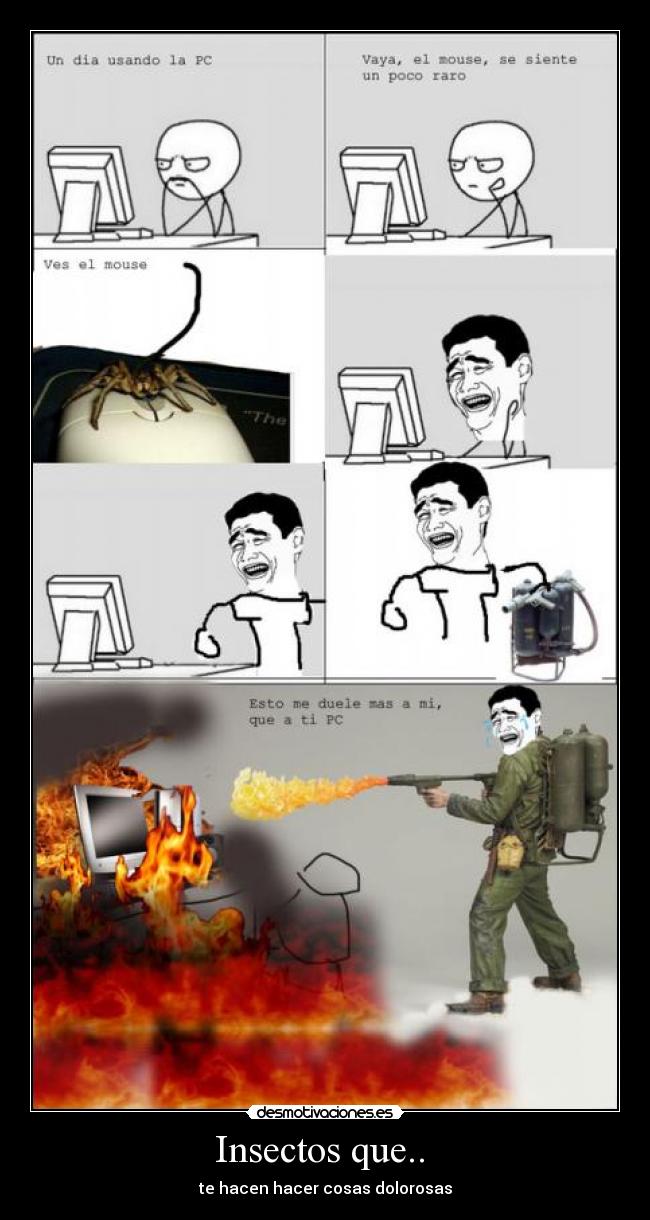 Insectos que.. - te hacen hacer cosas dolorosas