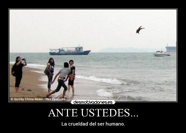 ANTE USTEDES... -