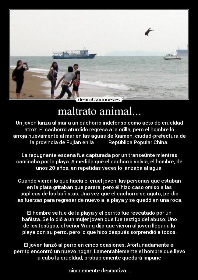 maltrato animal... - Un joven lanza al mar a un cachorro indefenso como acto de crueldad
atroz. El cachorro aturdido regresa a la orilla, pero el hombre lo
arroja nuevamente al mar en las aguas de Xiamen, ciudad-prefectura de
la provincia de Fujian en la            República Popular China.

La repugnante escena fue capturada por un transeúnte mientras
caminaba por la playa. A medida que el cachorro volvía, el hombre, de
unos 20 años, en repetidas veces lo lanzaba al agua.

Cuando vieron lo que hacía el cruel joven, las personas que estaban
en la plata gritaban que parara, pero él hizo caso omiso a las
súplicas de los bañistas. Una vez que el cachorro se agotó, perdió
las fuerzas para regresar de nuevo a la playa y se quedó en una roca.

El hombre se fue de la playa y el perrito fue rescatado por un
bañista. Se lo dió a un mujer joven que fue testigo del abuso. Uno
de los testigos, el señor Wang dijo que vieron al joven llegar a la
playa con su perro, pero lo que hizo después sorprendió a todos.

El joven lanzó al perro en cinco ocasiones. Afortunadamente el
perrito encontró un nuevo hogar. Lamentablemente el hombre que llevó
a cabo la crueldad, probablemente quedará impune

simplemente desmotiva...