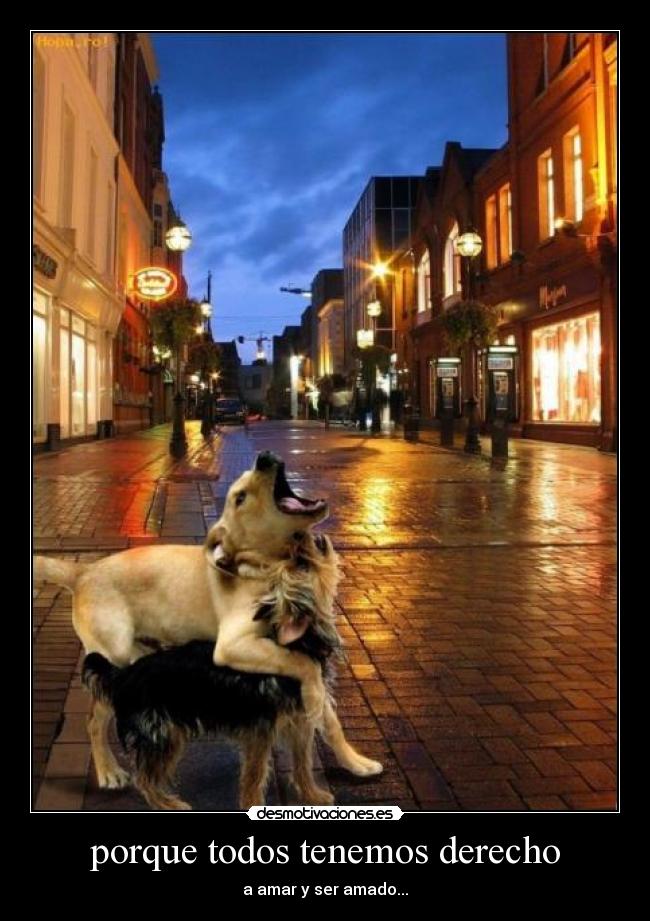 porque todos tenemos derecho - a amar y ser amado...