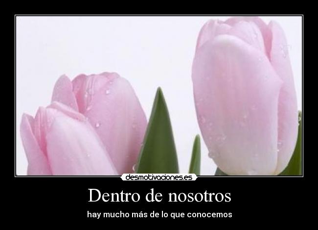 Dentro de nosotros - hay mucho más de lo que conocemos