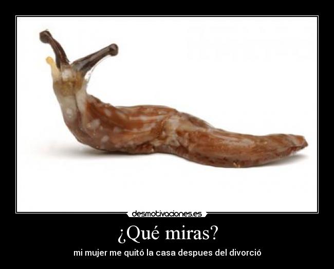 carteles jojojoj desmotivaciones