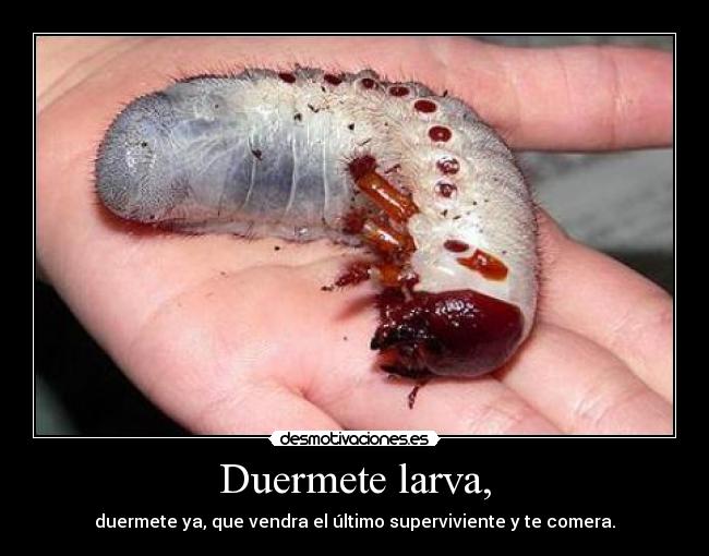 Duermete larva, - duermete ya, que vendra el último superviviente y te comera.
