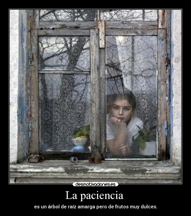 La paciencia -