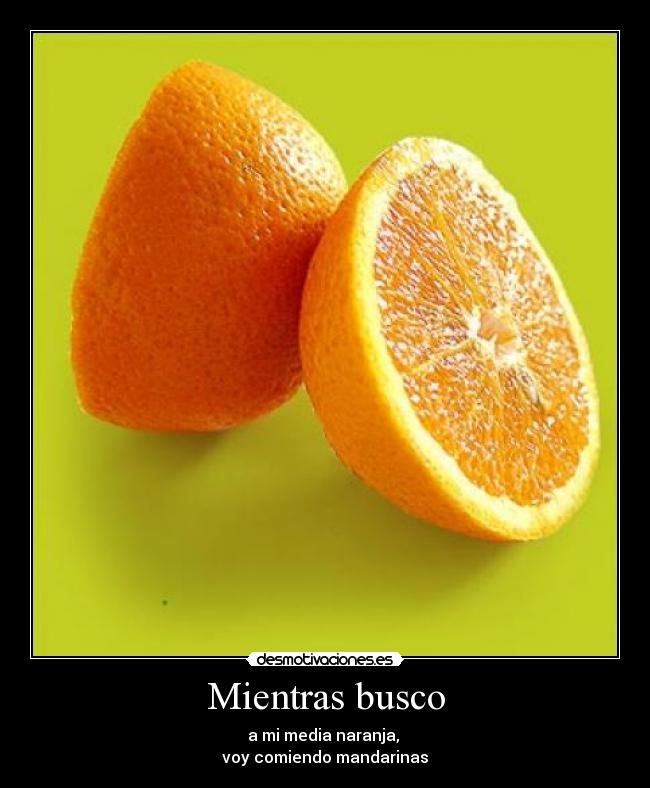 Mientras busco -