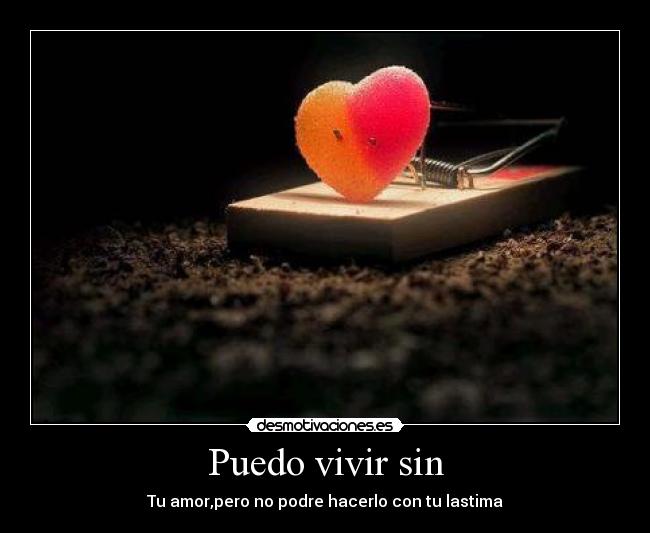 Puedo vivir sin - Tu amor,pero no podre hacerlo con tu lastima