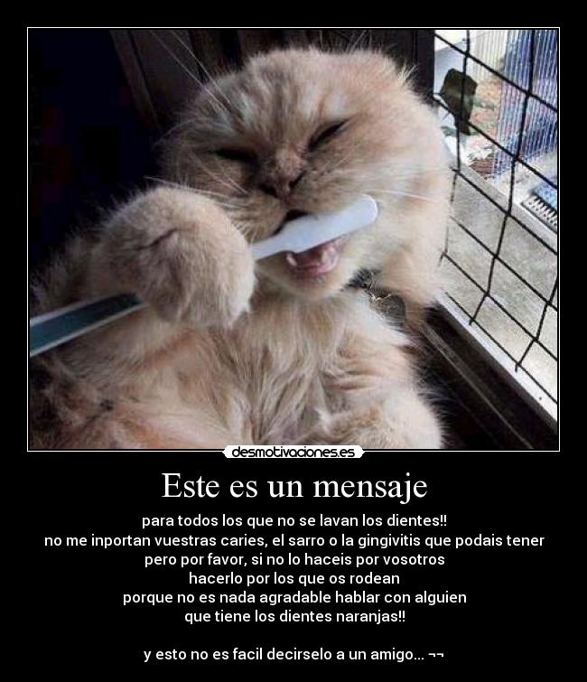 Este es un mensaje - para todos los que no se lavan los dientes!!
no me inportan vuestras caries, el sarro o la gingivitis que podais tener
pero por favor, si no lo haceis por vosotros
hacerlo por los que os rodean
porque no es nada agradable hablar con alguien
que tiene los dientes naranjas!!
y esto no es facil decirselo a un amigo... ¬¬