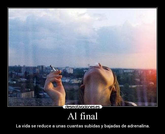 Al final - La vida se reduce a unas cuantas subidas y bajadas de adrenalina.