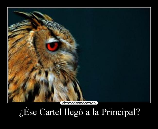 ¿Ése Cartel llegó a la Principal? -
