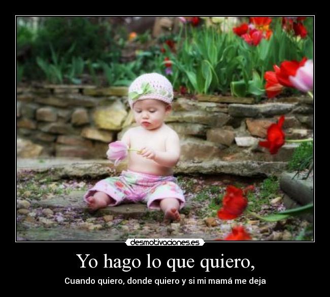 Yo hago lo que quiero, - Cuando quiero, donde quiero y si mi mamá me deja