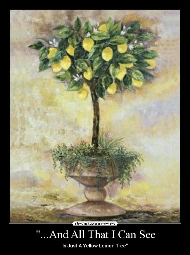 ...And All That I Can See - Is Just A Yellow Lemon Tree