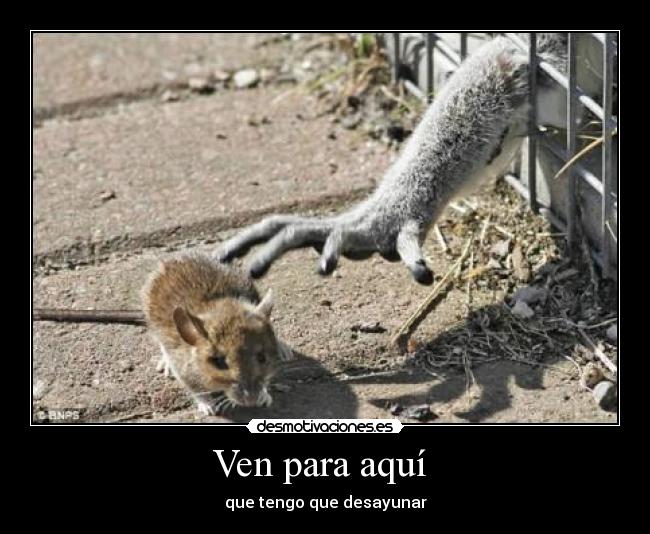 Ven para aquí - que tengo que desayunar