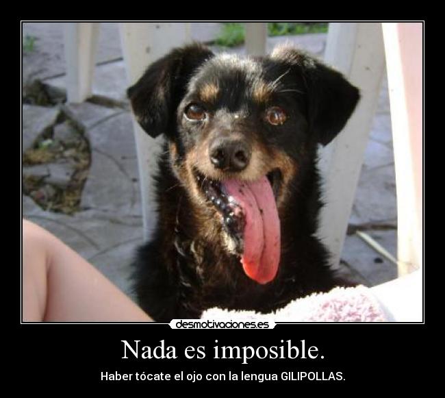 Nada es imposible. - 